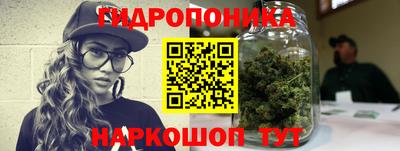 PSILOCYBIN Канаш