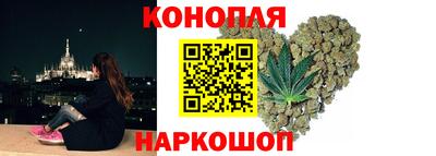 гидропоника Камышлов