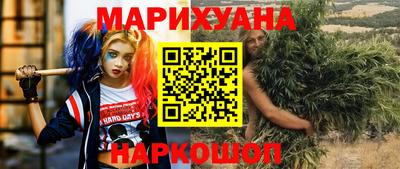 гидропоника Камышлов