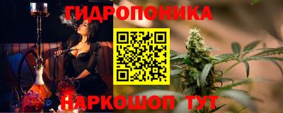 гидропоника Камышлов